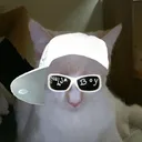 @gorglittlegal