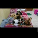 @ekelmaria