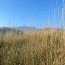 @tiktok2456735