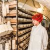 chesse_cheese