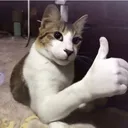 @zmr_258