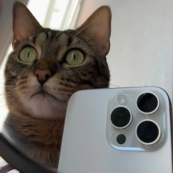 nieptiunreal