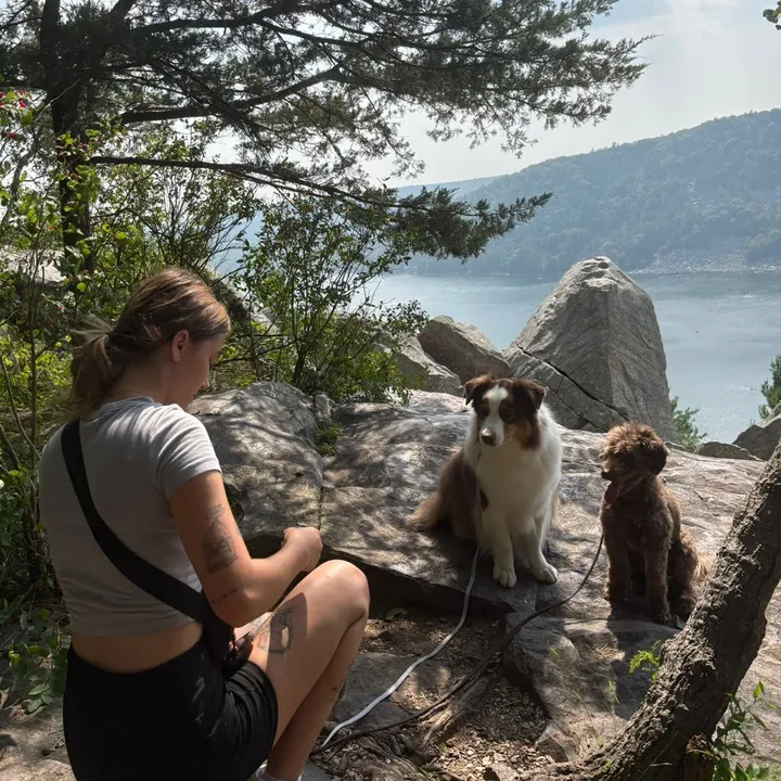 aves.dog.blog