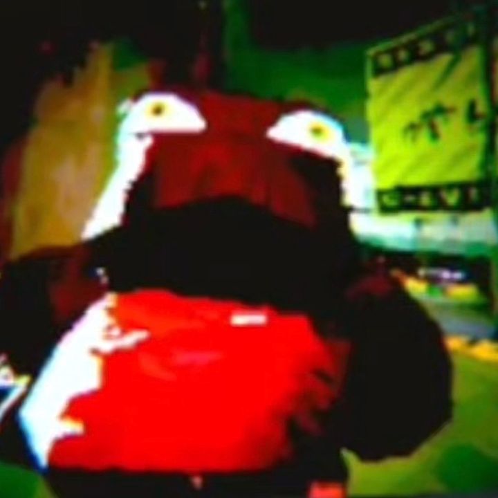 Monkey_bros🐵🐵 - original sound