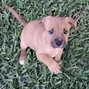 @kanethefriendliestpit