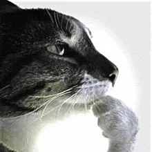 zarblx2
