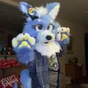 @fluffy.nugg3t
