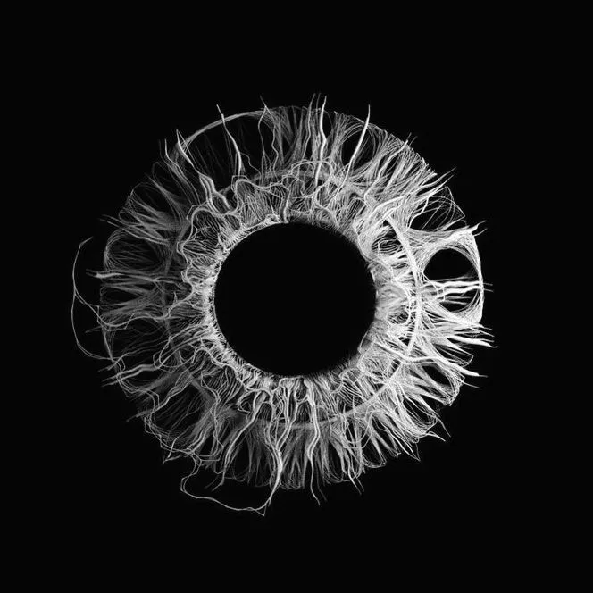 psycofactz