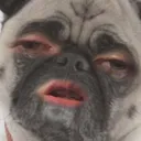 @kavaughn0