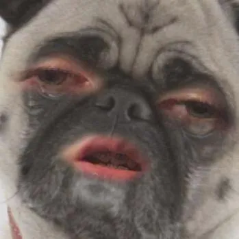 kavaughn0