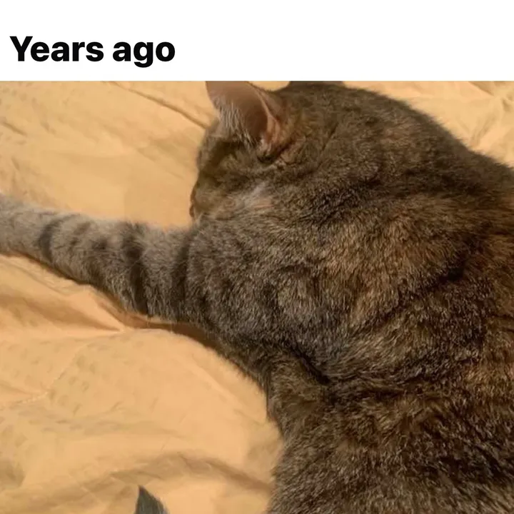 tiredoftheliez
