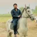 @junaidrana316