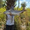whk_fishing