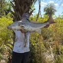 @whk_fishing