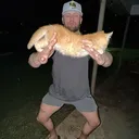 @travmike119