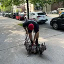 @ny_macc