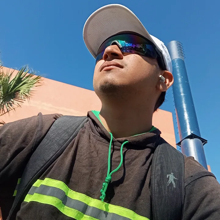 el_pollito503
