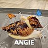 angie18345