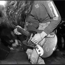 @twin_reverb_