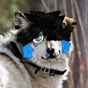 @sugarc00k1e_pup