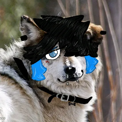 @sugarc00k1e_pup