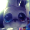 @wainxter