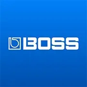 bossinfoglobal