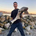 @highlifefishing831