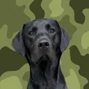@ghostblacklab