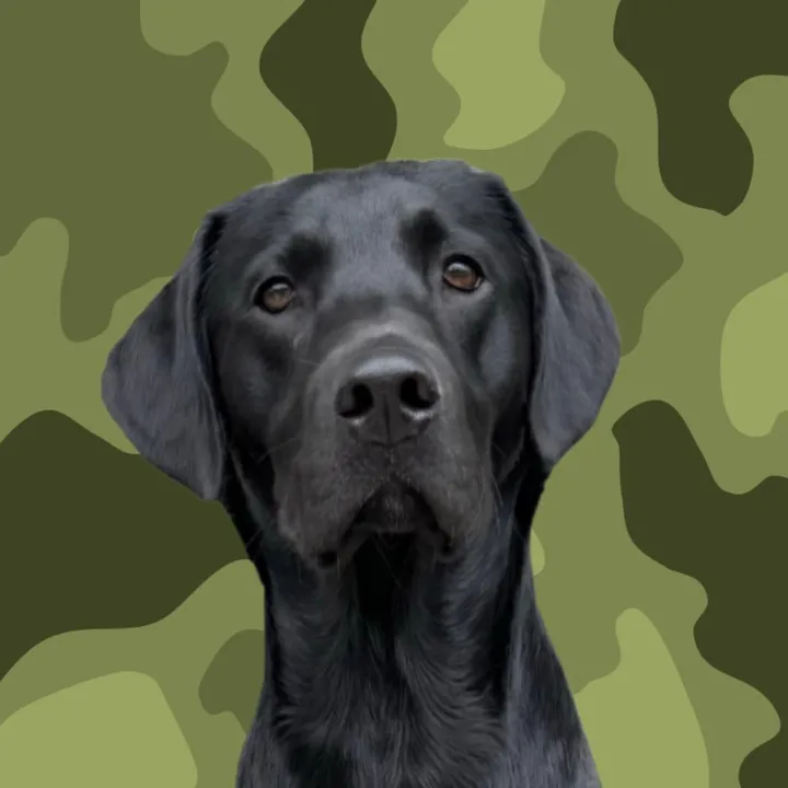 @ghostblacklab