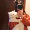 @ashujutt76500