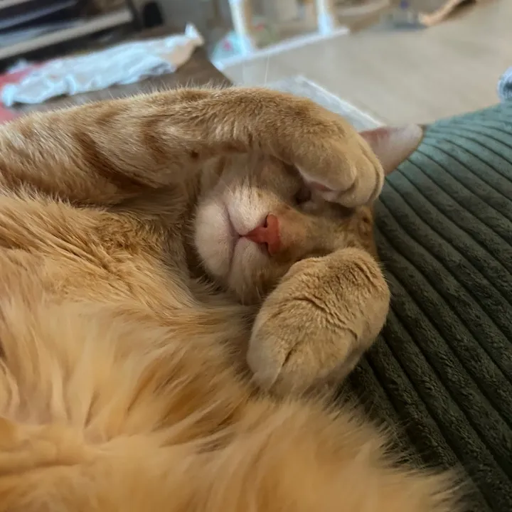 binkstank