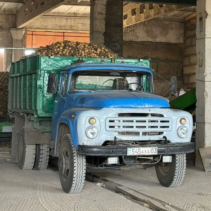 zil545axa