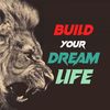 dreamlifebuilding