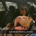 @icynomercy_