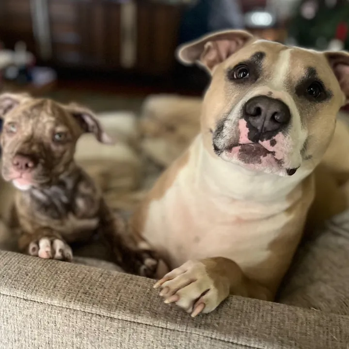 @quincy.and.clover