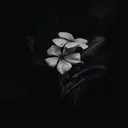 @replay.da.vida