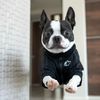 boston.terrier.shop