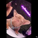 @jayyfinessednailz_