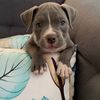 zeus.cha.ch