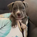 @zeus.cha.ch