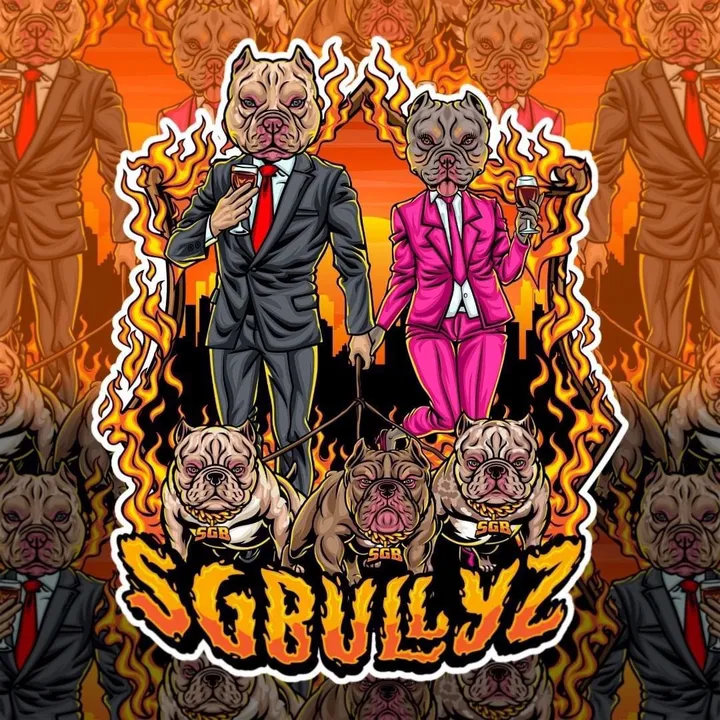 sgbullyz