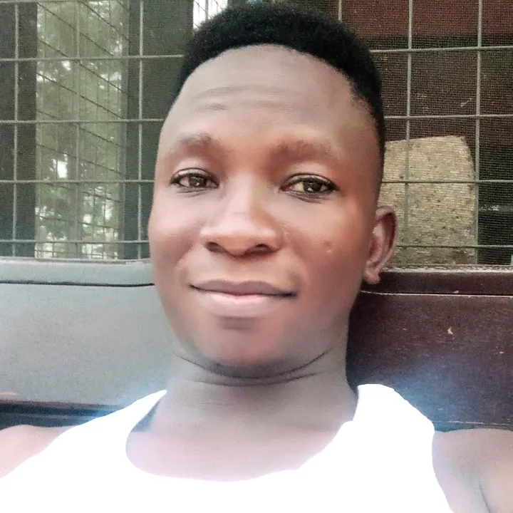 jingbeja.bismark