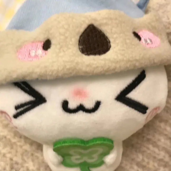@ruouye