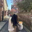 @alesia.ign