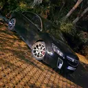 @black_insignia_opc