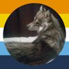 ravens_dirty_paws