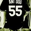 ant.dog559