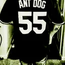 @ant.dog559