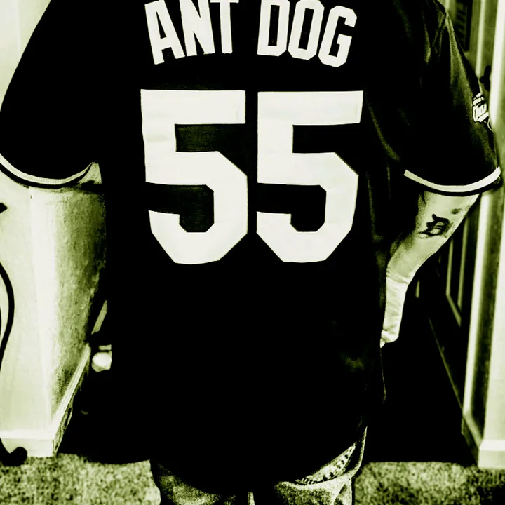 @ant.dog559